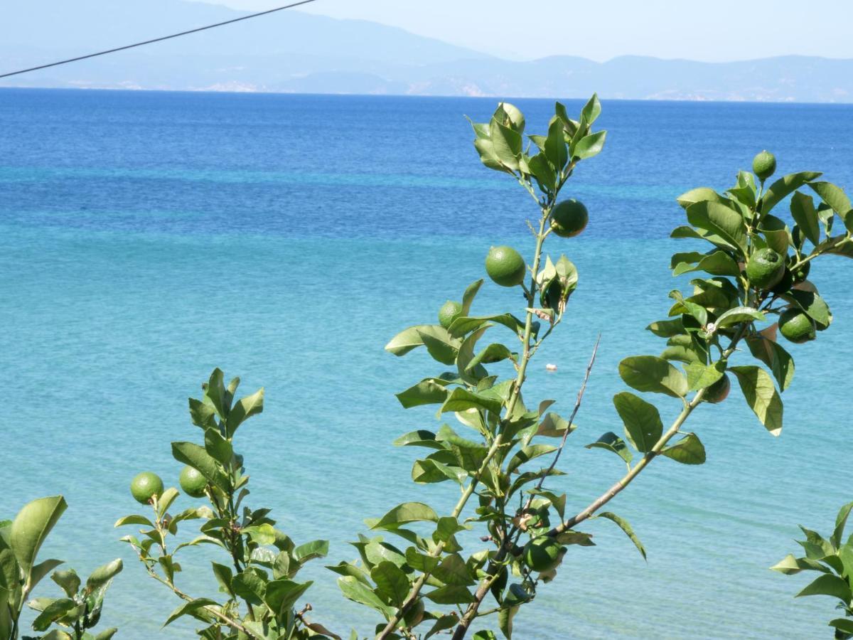 Villa Giotis Skala Sotiros Bagian luar foto